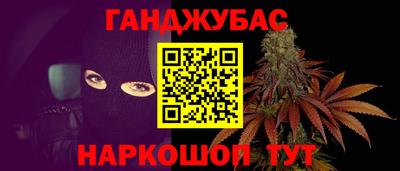 сатива Шахты