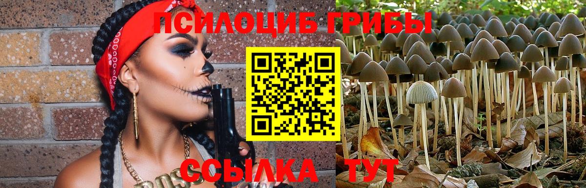 Псилоцибиновые грибы ЛСД Белово