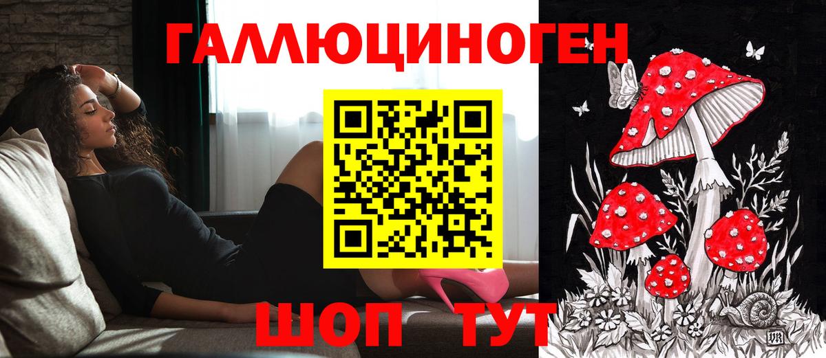 Белово  Галлюциногенные грибы Cubensis  Псилоцибиновые грибы прущие грибы  Вход с VPN 